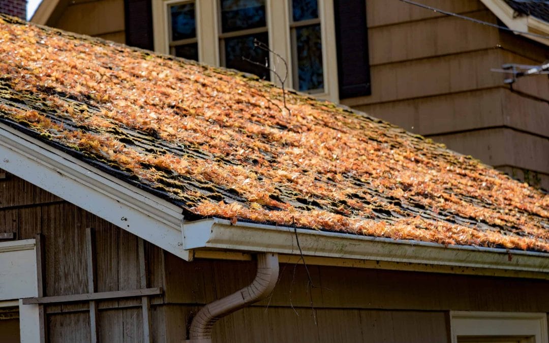 5 Tips to Prepare Your Stephenville Roof for Spring Weather