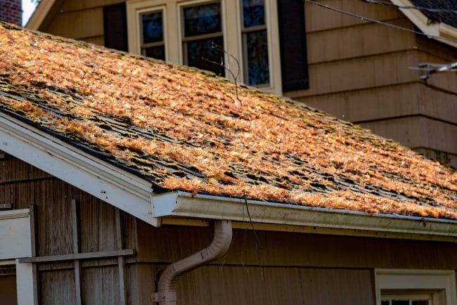 spring roof prep, spring roof maintenance, Stephenville